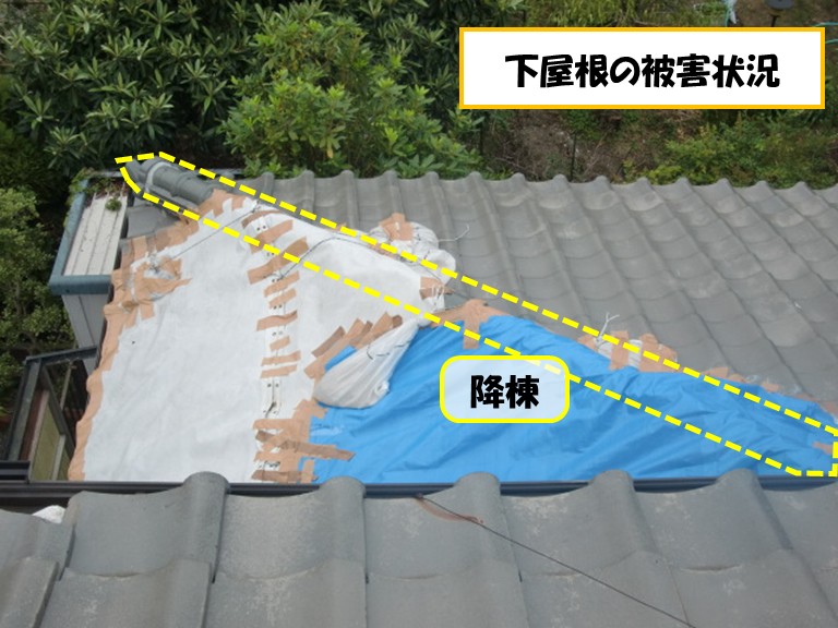 高石市　下屋根の被害状況・降棟